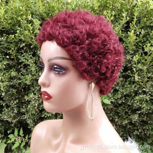 Short Afro Curly Human Hair Wigs for Black Women Short Hairstyles Pixie Cut Wigs with Thin Hair Black Non Lace Hair Wigs
